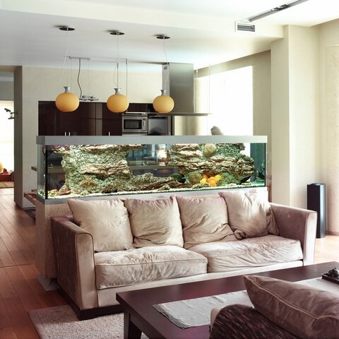 Кухня гостиная с разделителем аквариумом в помещении 30 квадратов фото дизайн